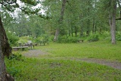 Coho Campground